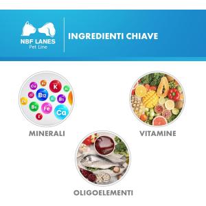 Carevit Cane 2