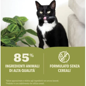Acana Gatto Premium Paté Adulto Salmone 85 gr 2