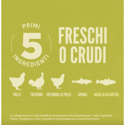 Primi cinque ingredienti orijen sono crudi o freschi