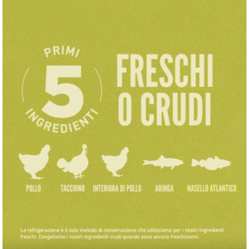 Primi cinque ingredienti orijen sono crudi o freschi