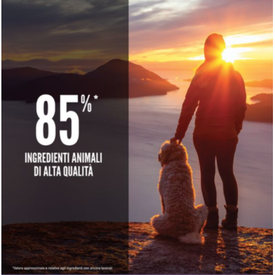Qualità ingredienti animali senior orijen