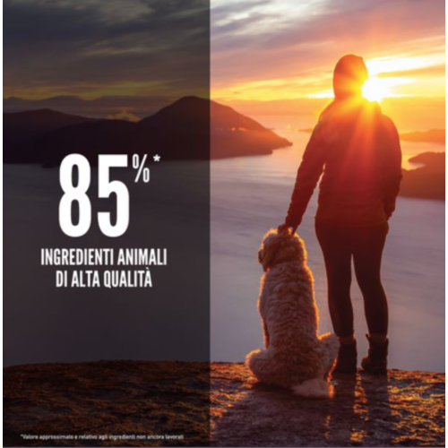 Qualità ingredienti animali senior orijen
