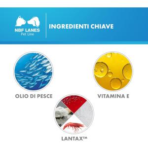 Nefrokrill Cane 60 perle 2