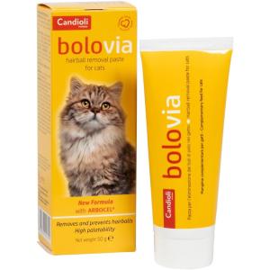 Candioli Bolovia pasta per gatti