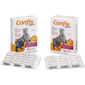 Confis Gatti 2