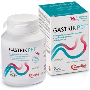Gastrik Pet