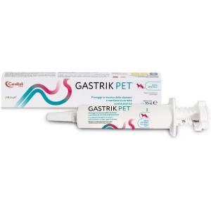 Gastrik Pet Pasta