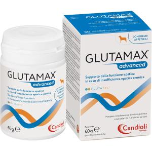 Glutamax