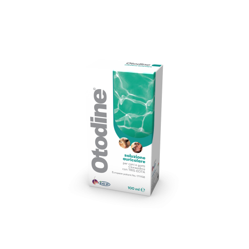 Otodine 100ML