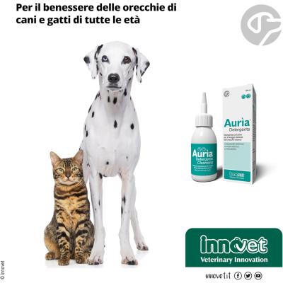 DRN Auria Detergente Auricolare