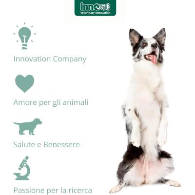 DRN Auria Detergente Auricolare