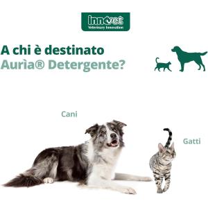 DRN Auria Detergente Auricolare 2
