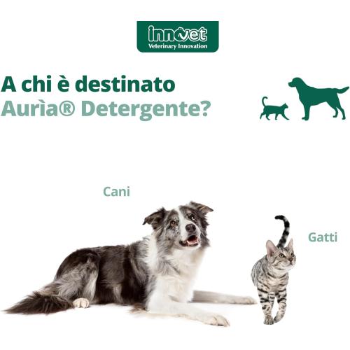 DRN Auria Detergente Auricolare