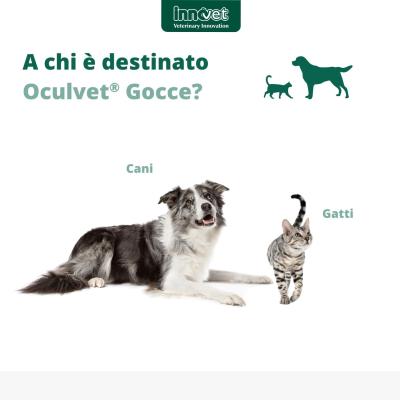 Oculvet Gocce destinatari uso
