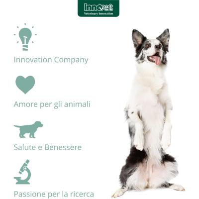 Oculvet Gel