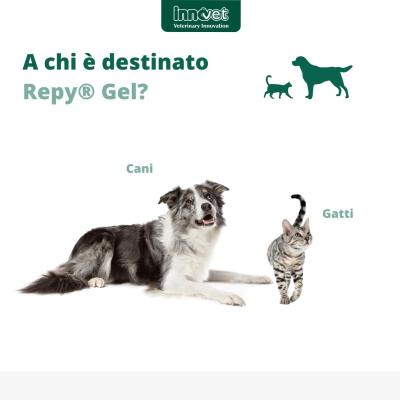 Repy Gel per cani e gatti