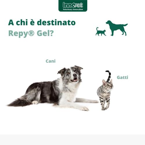Repy Gel per cani e gatti