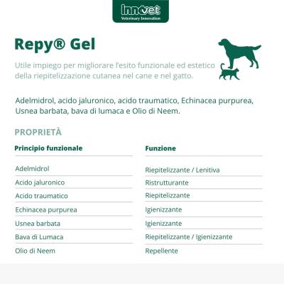 Repy Gel composizione