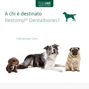 Restomyl Dentalbones 2