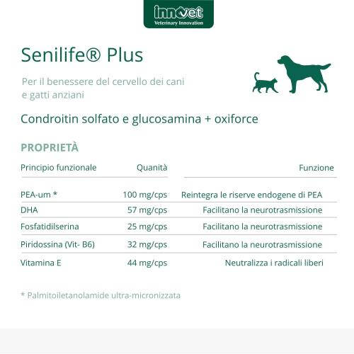 Composizione senilife plus