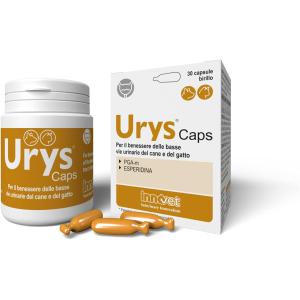 Urys Capsule