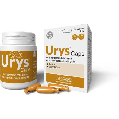 Urys Capsule