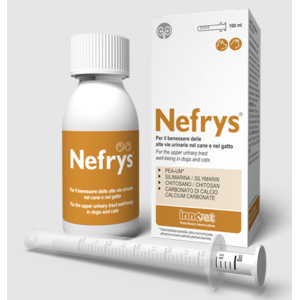 Innovet Nefrys