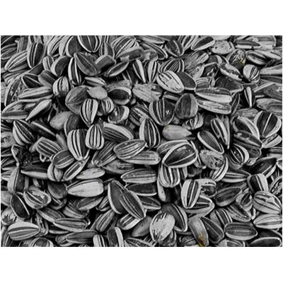Vadigran Semi di Girasole Large 1kg