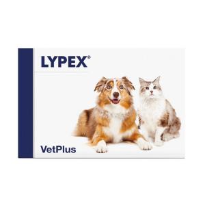 Lypex Compresse