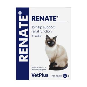 Renate Gatto