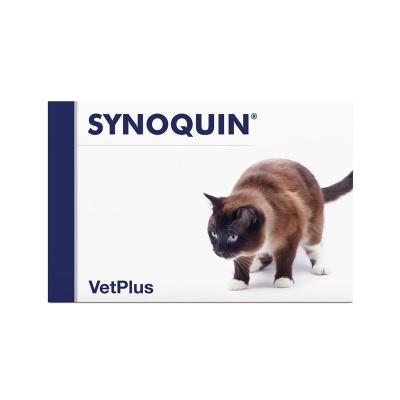 Synoquin Gatto