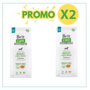 Brit care cane taglia grande salmone grain free 2