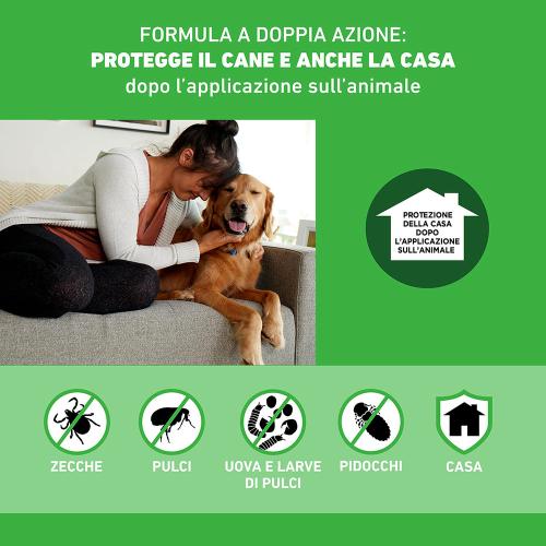 Frontline Combo cani taglia piccola 2-10kg 1 pipetta