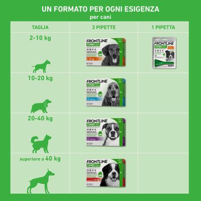 Frontline Combo cani taglia piccola 2-10kg 1 pipetta