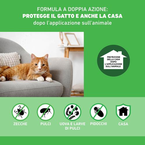 Frontline Combo gatti 1 pipetta