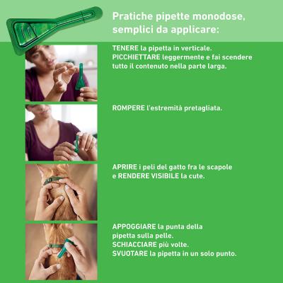 Frontline Combo gatti 1 pipetta