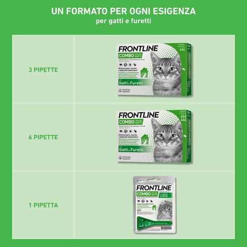 Frontline Combo gatti 1 pipetta