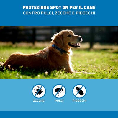 Frontline Spot On cani 10-20kg 3pipette