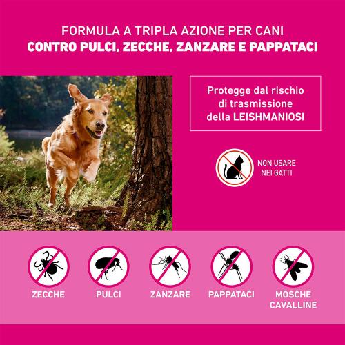 FRONTLINE TRI ACT cani taglia mini 2-5kg 1 pipetta