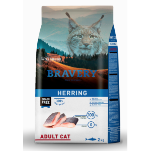 Bravery Gatto Aringa
