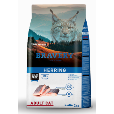 Bravery Gatto Aringa