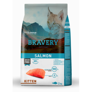 Bravery Kitten Salmone