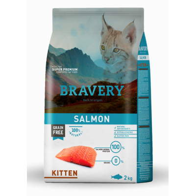 Bravery Kitten Salmone