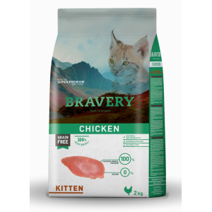 Bravery Kitten Pollo