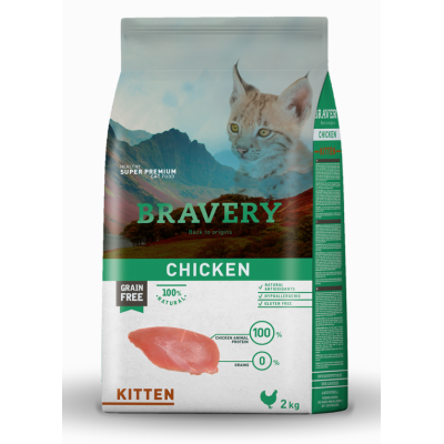 Bravery Kitten Pollo