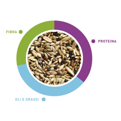 Padovan Naturalmix Canarini