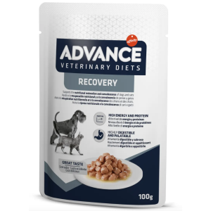 Advance Cane/Gatto Recovery...