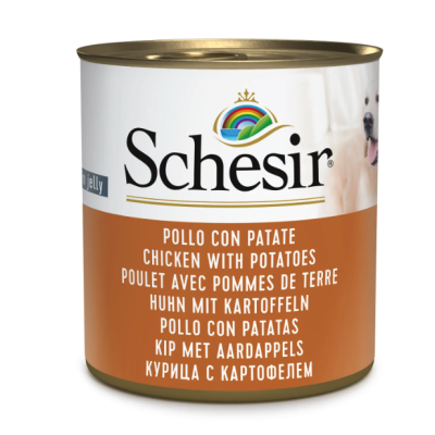 Schesir cane adulto lattina in jelly...