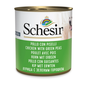 Schesir cane adulto lattina...