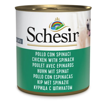 Schesir cane adulto lattina in jelly...